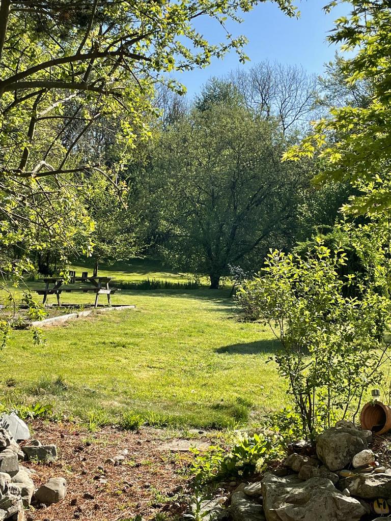 Garden (sixth image)