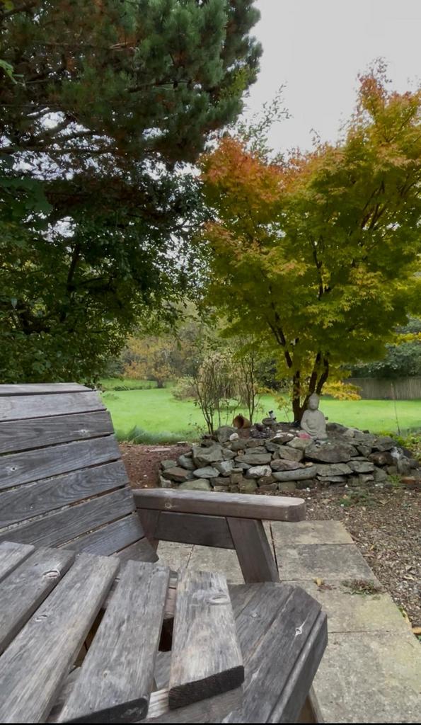 Patio area