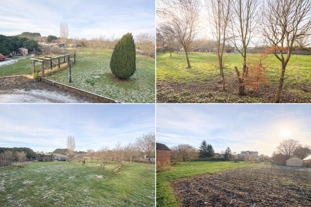 The Grounds