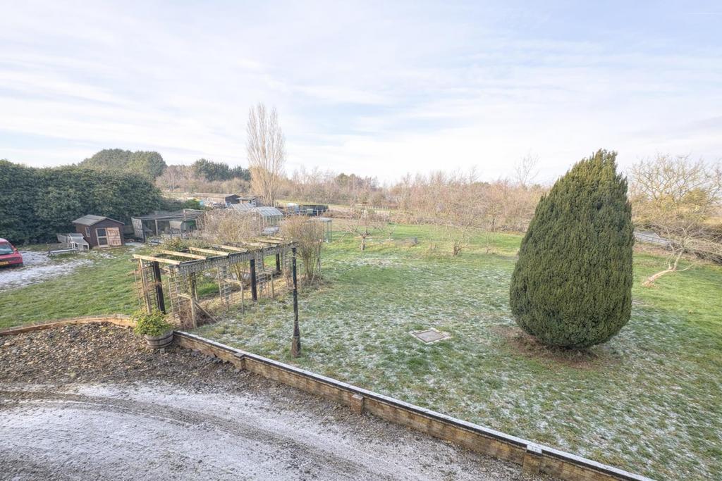 The Grounds