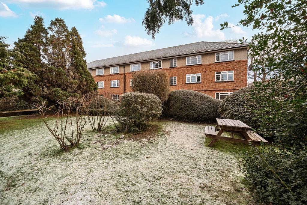 Communal Garden