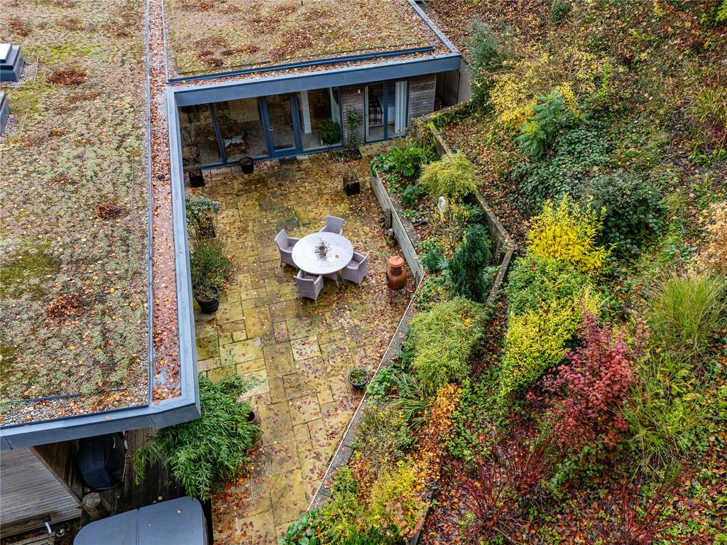 Elevated Shot