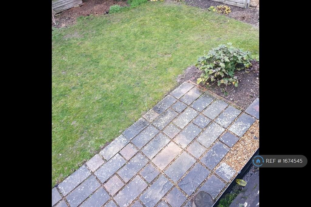Rear Patio