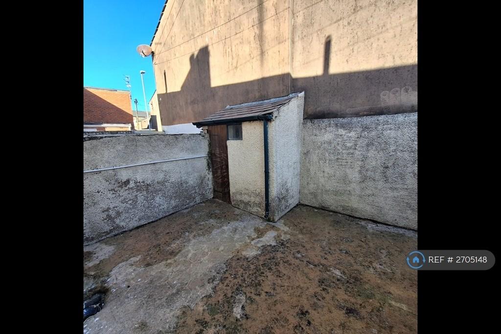 Rear Yard