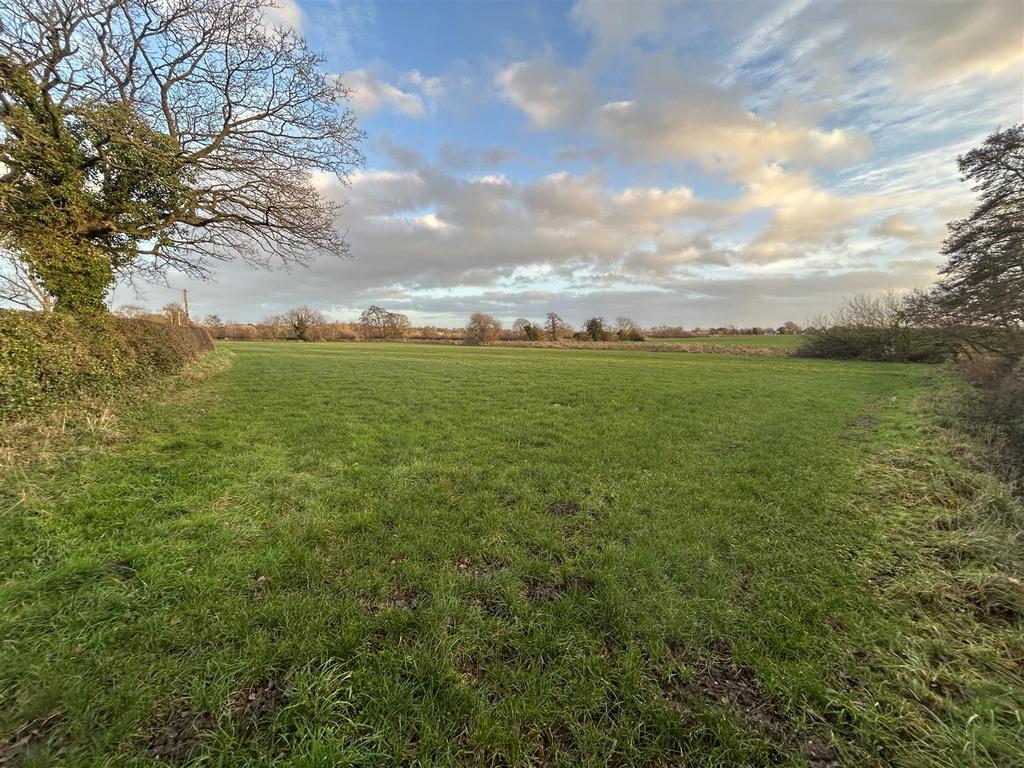 Auction land 2.JPG