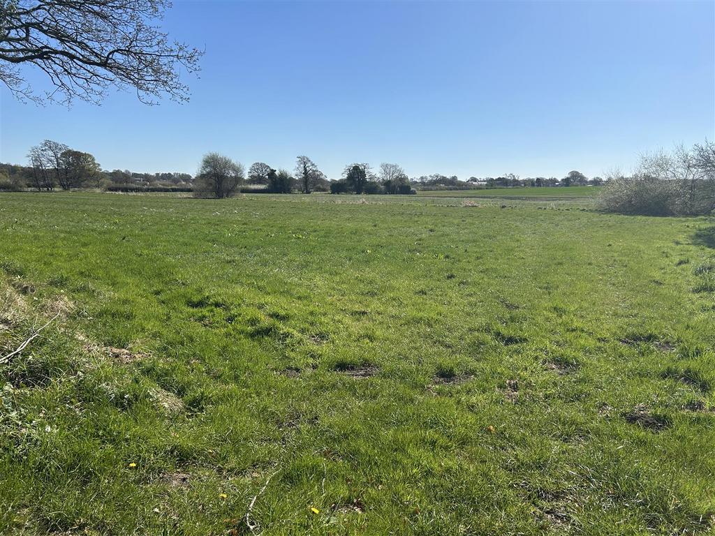 Auction land.JPG