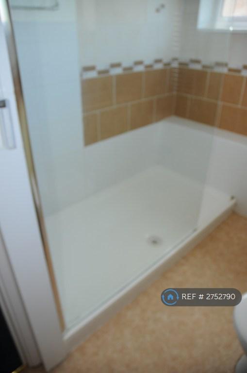 Upstairs Bathroom Walk-In Shower