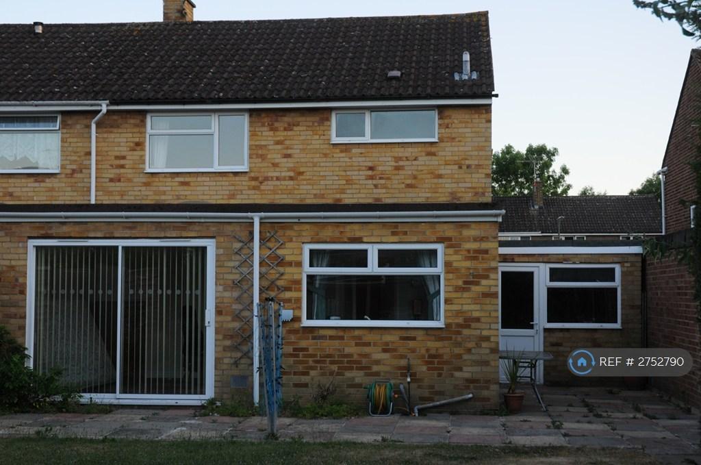 Rear Patio