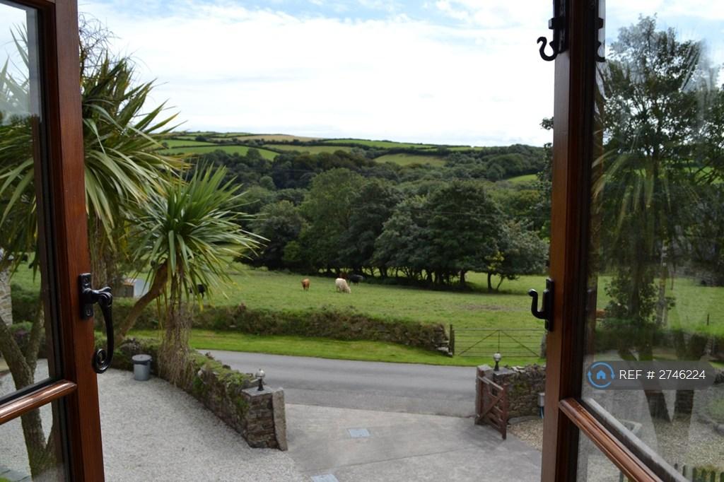View From Window