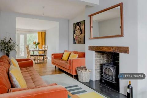 3 bedroom semi-detached house to rent - Maida Avenue, London, E4