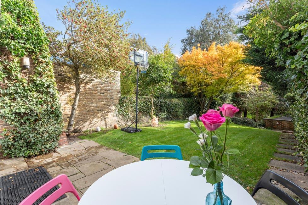 Garden view, garden