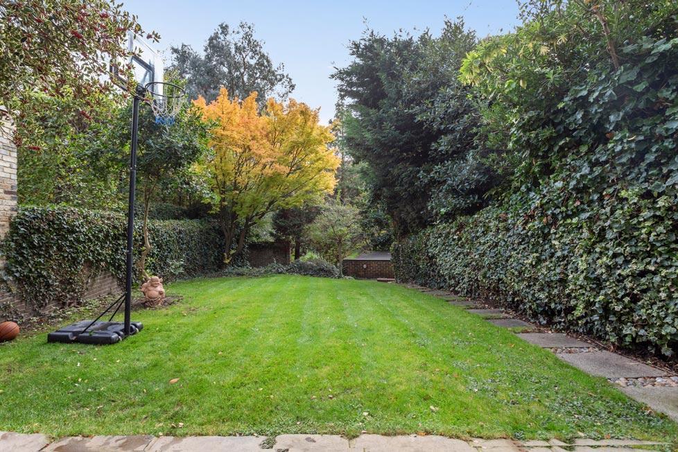 Garden view, garden