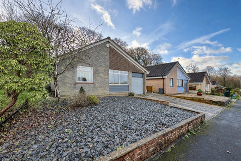 3 bedroom detached bungalow to rent - Heath Park, Newton Abbot, TQ12 4JQ
