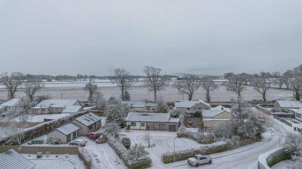 DJI 0010.jpg