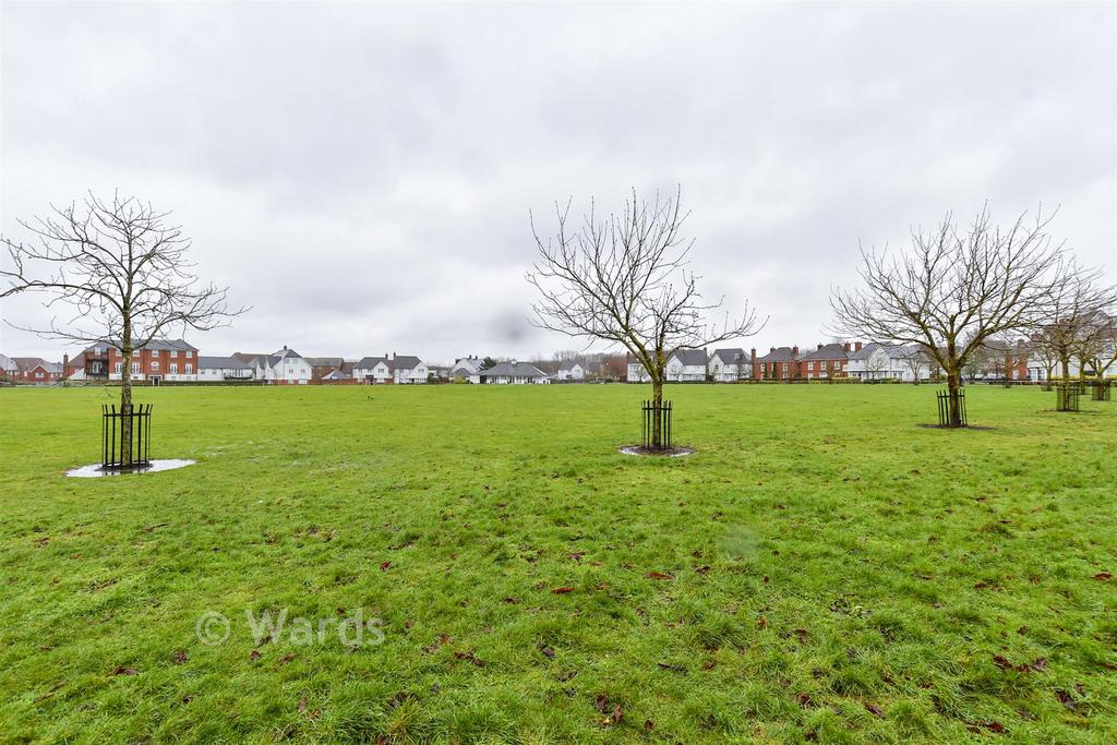 Surrounding Area