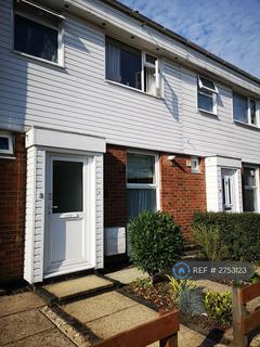 3 bedroom terraced house to rent, Grove Road, Norwich, NR1