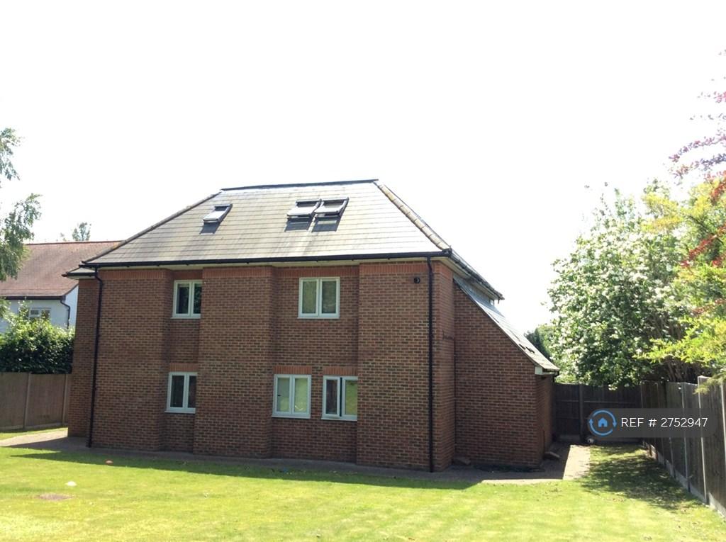 Rear Building