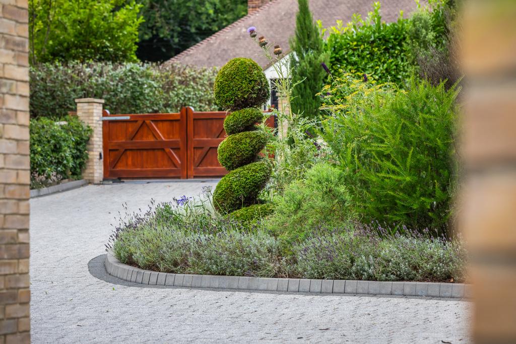Driveway