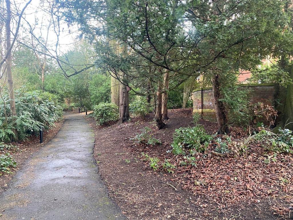 Communal Grounds B