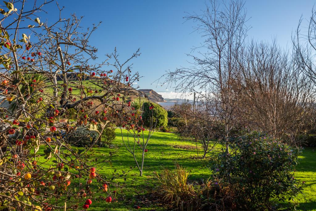 Garden and View