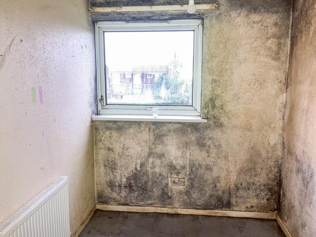 5 T202511051727.jpg