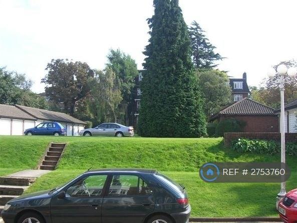 Communal Garden