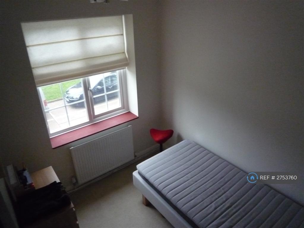 Single Bed Room Or Study