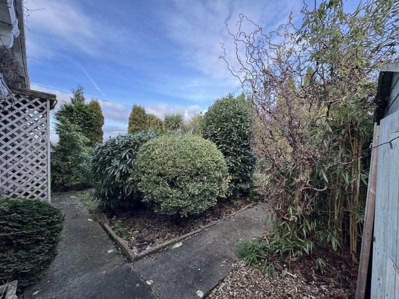 Front Shrubs/shed