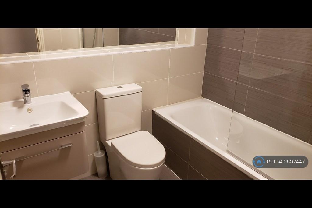 Modern Bath/Shower