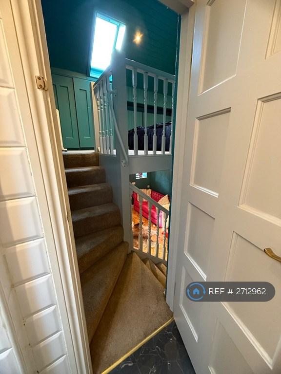 Bathroom Door