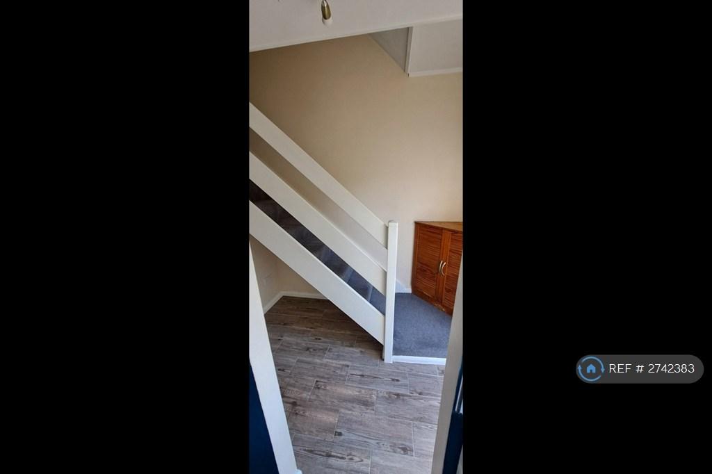 Downstairs Storage