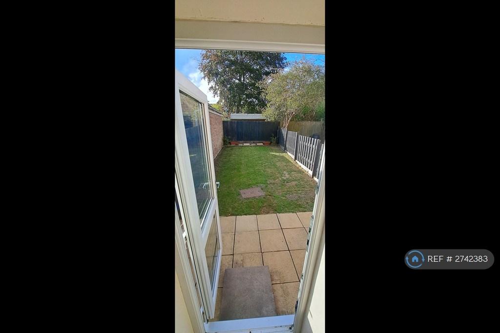 Low Maintenance Garden