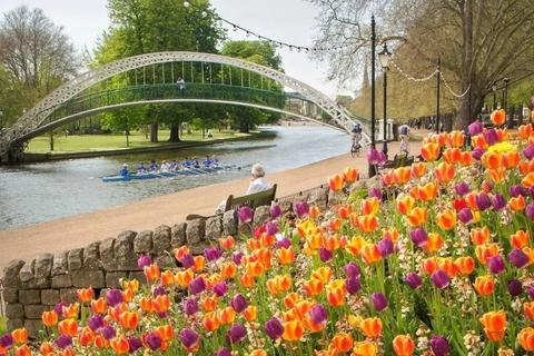 2 bedroom flat to rent, 3 The Residence, Lurke Street MK40