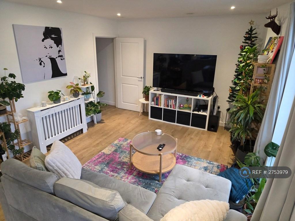 Spacious Shared Living Area