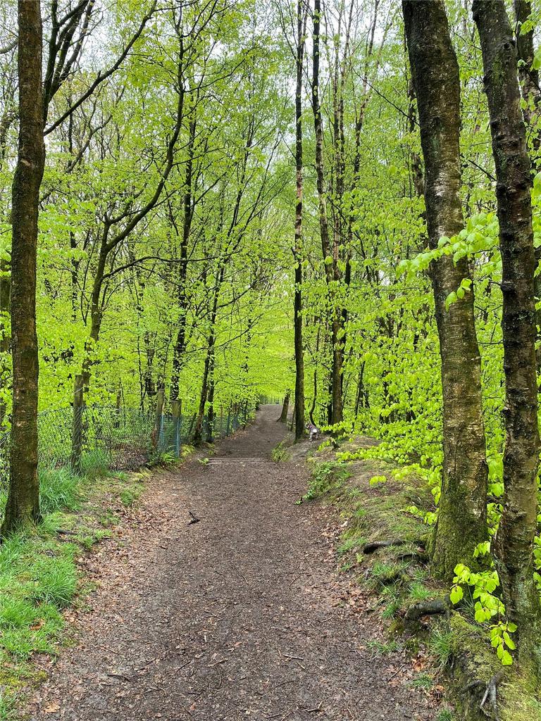Walks Close By