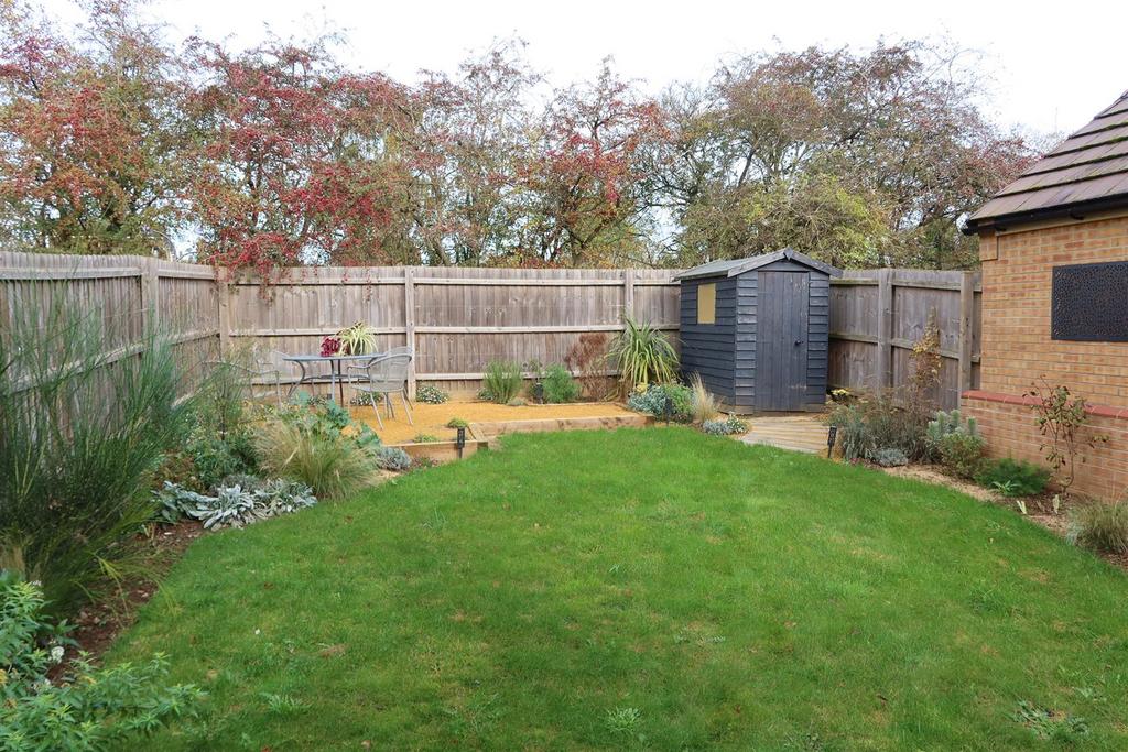 Garden in summer