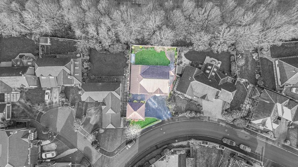 Birds Eye View