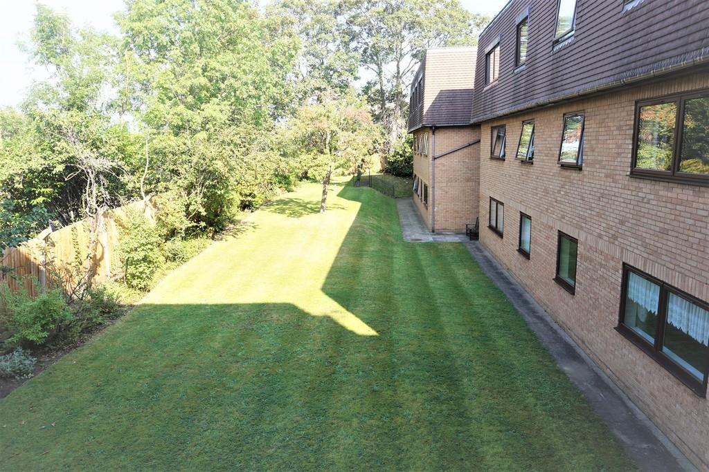 Communal grounds