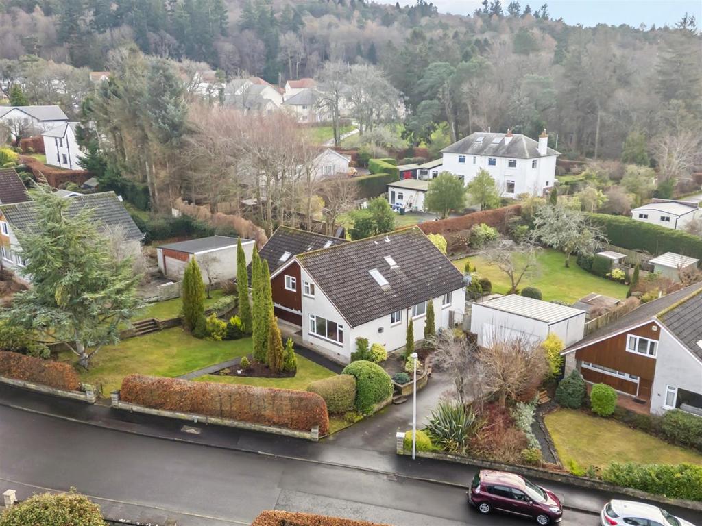 DJI 0006.jpg