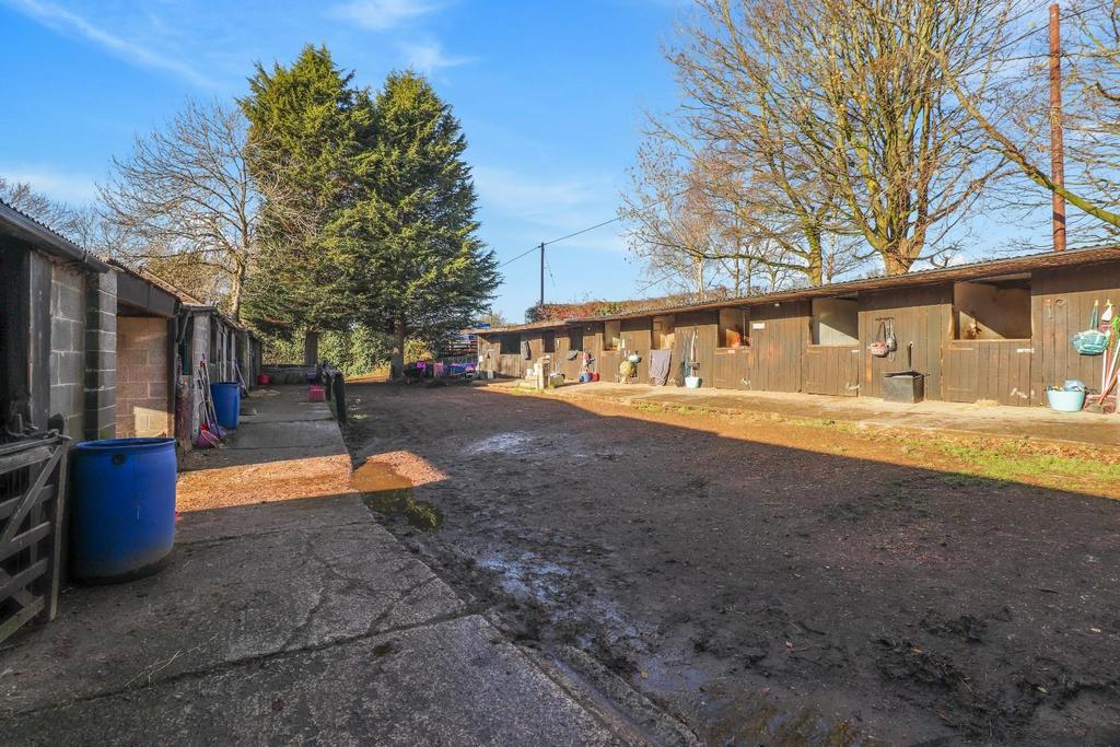 Court yard