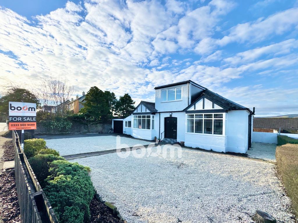 Img 1076