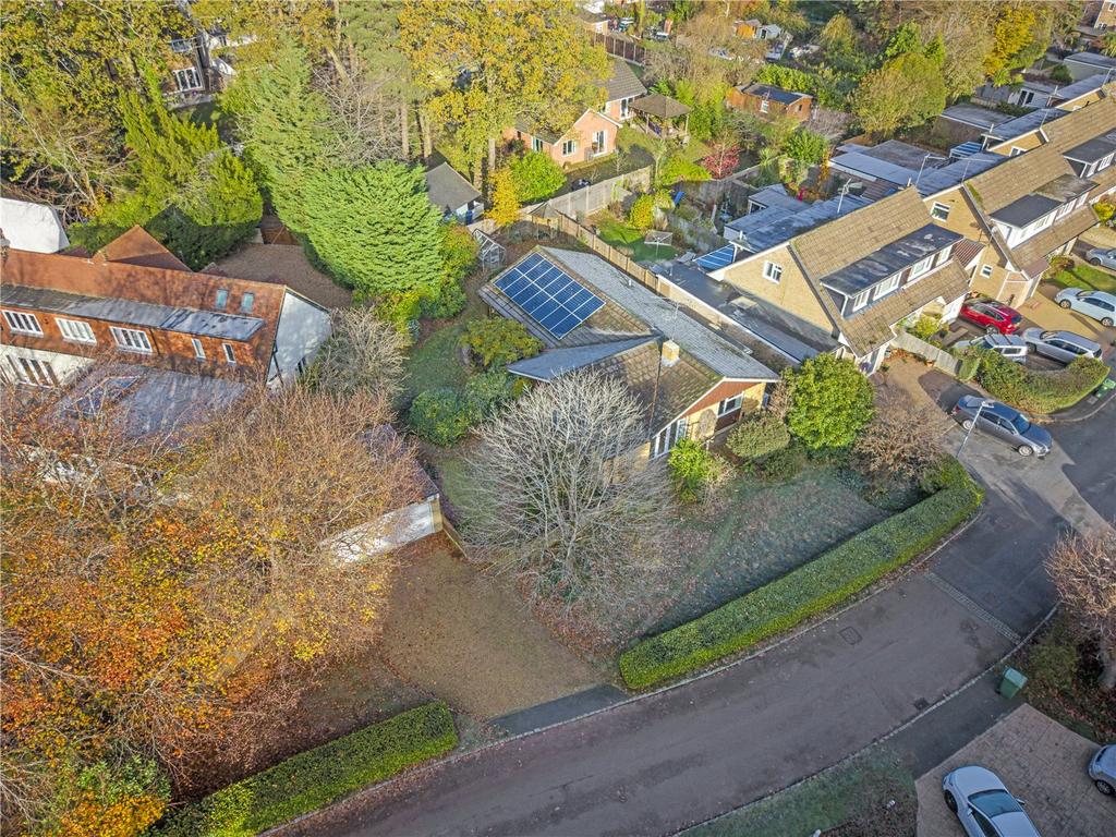 Aerial Shot
