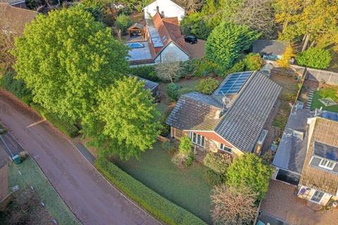 Blackmoor Wood, Ascot, Berkshire, SL5
