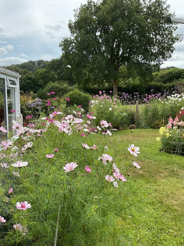 Brushford Seddons