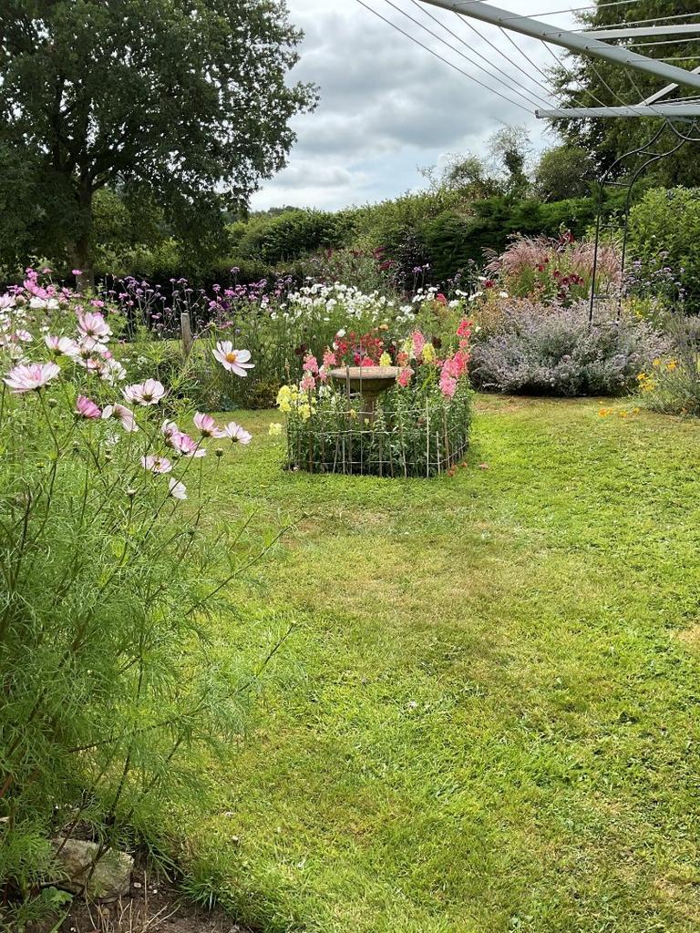 Brushford Seddons