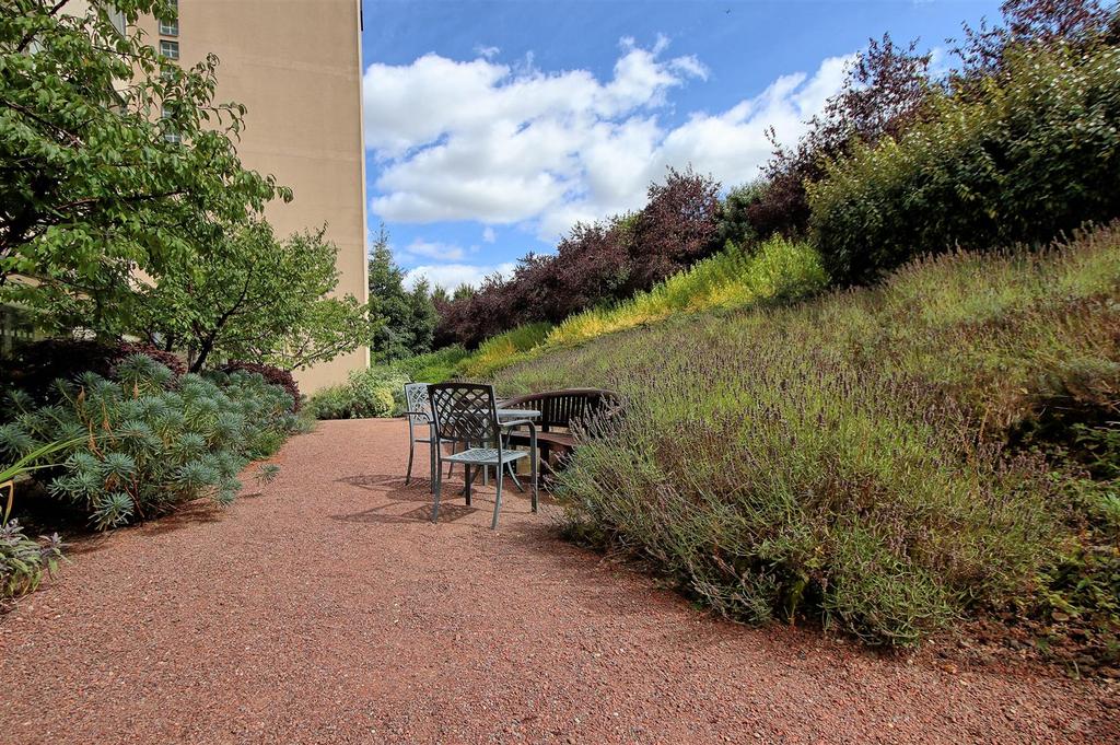 Garden 2.jpg