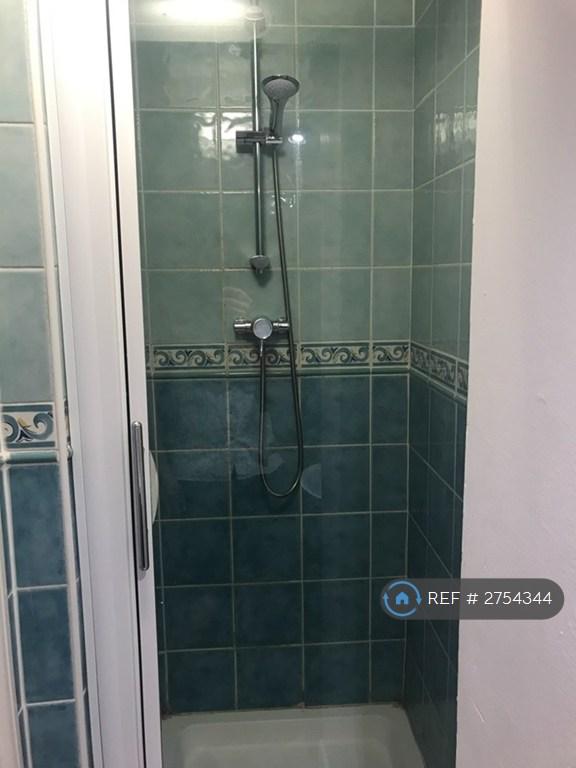 Ground Floor Shower Cubicle And Toilet