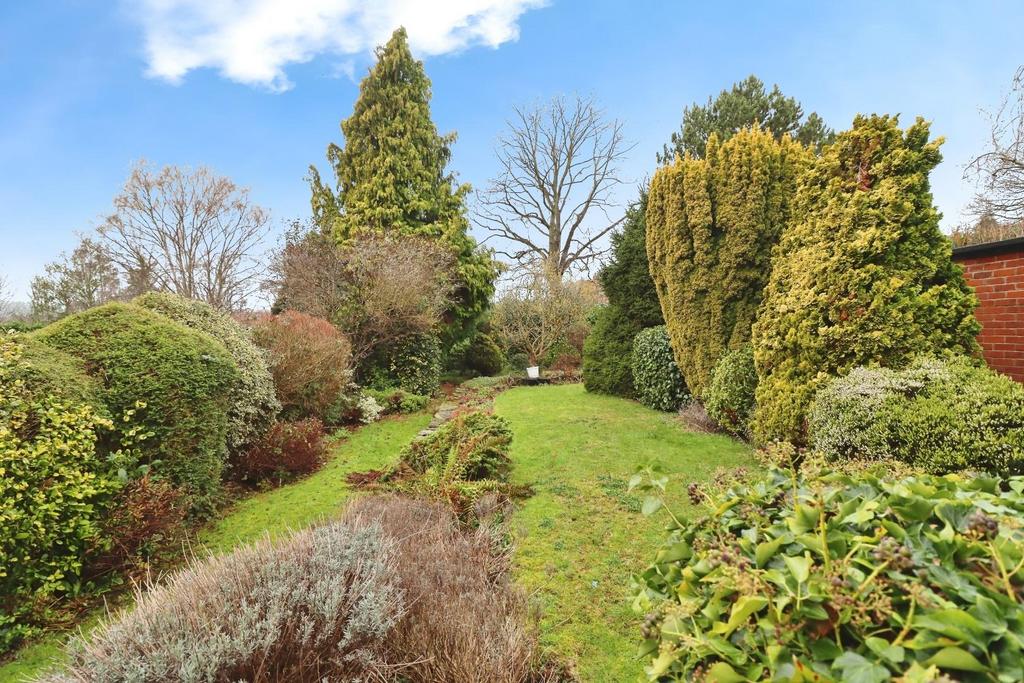 REAR GARDEN 01.jpg