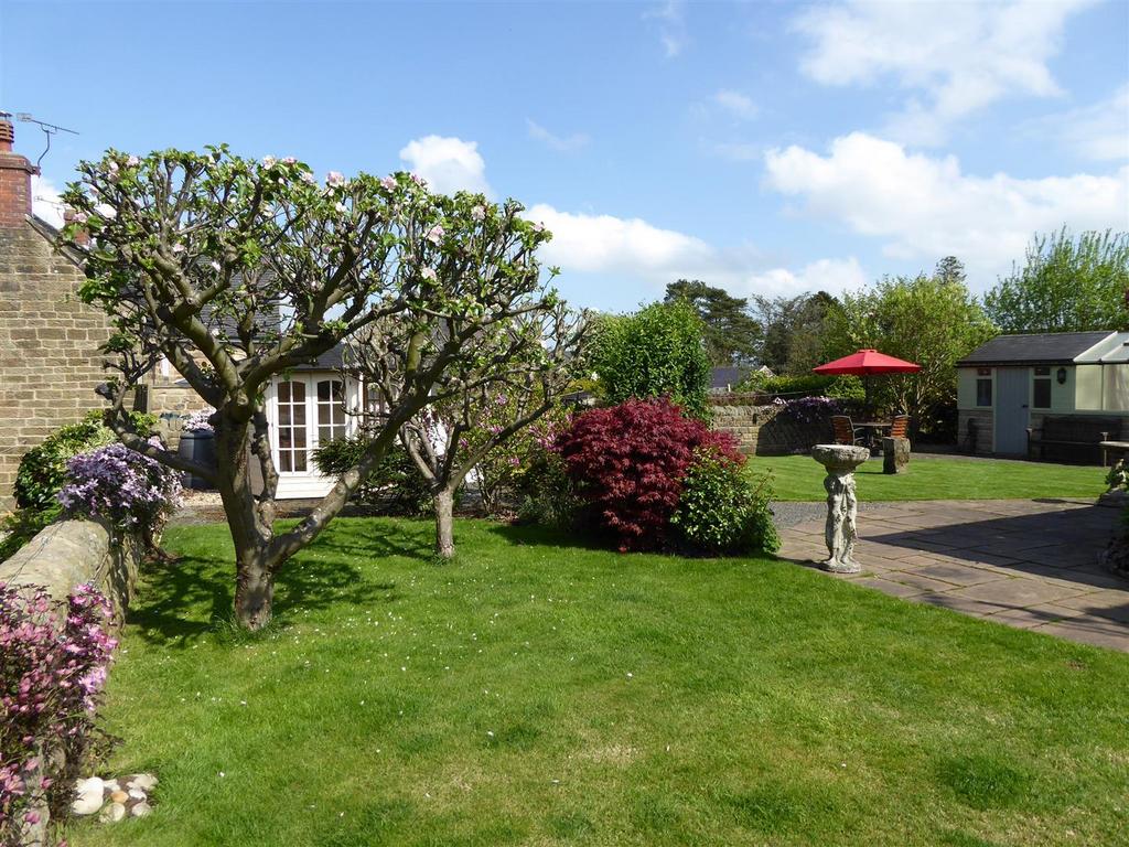 Rear Garden from shed and patio.jpg
