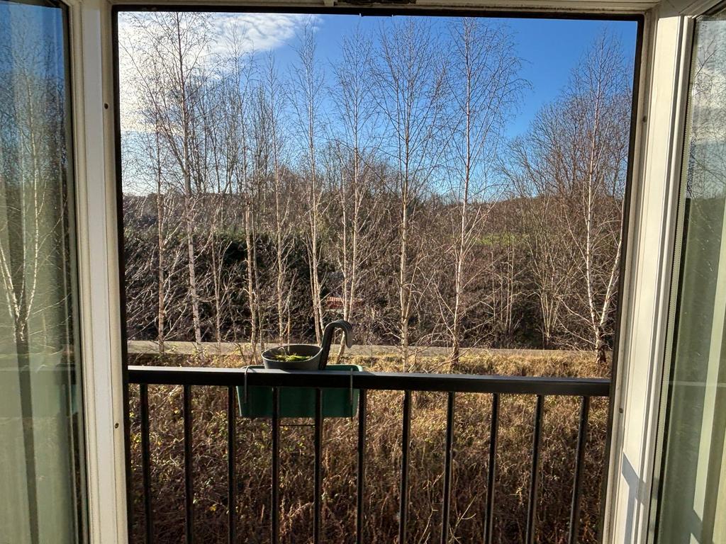 French Doors in Lge